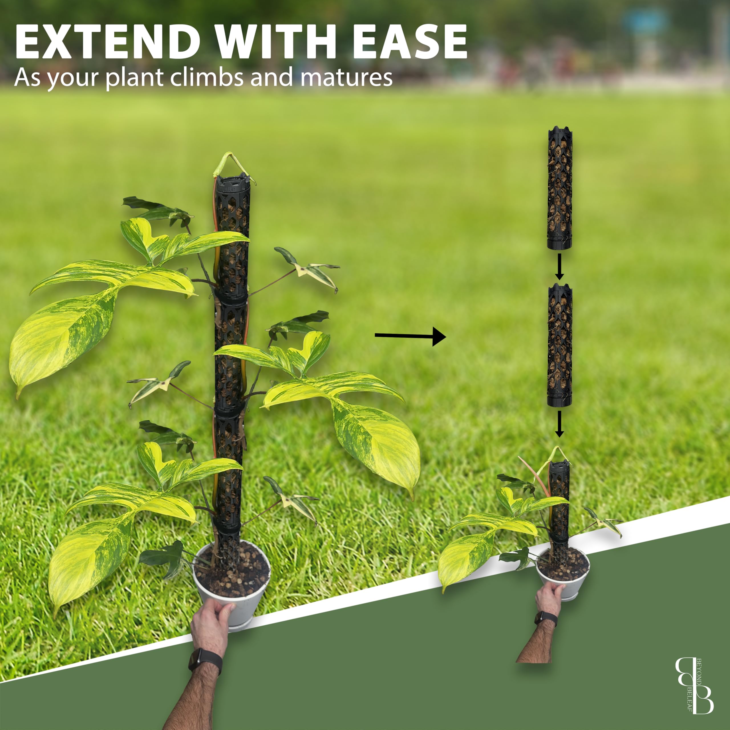 Amazon | プロ用自己散水植物サポートポール 植物を登るために